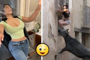 Try Not To Laugh #20 😆 | Hilarious People Life & Instant Regret Fails Compilation 2025 - Homelesss