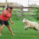 Try Not to Laugh Challenge #18 🤣 Best Fails of the week