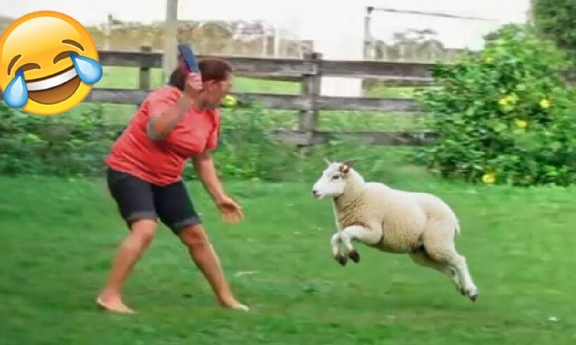 Try Not to Laugh Challenge #18 🤣 Best Fails of the week