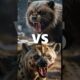 Ultimate Predator Showdown: Only One Animal Survives! #animalvsanimal #aianimalfights
