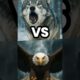 WARNING ⚠️ Top 5 animal fights that will blow your mind forever #animalfight #aianimals #shorts
