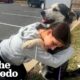 Watch Senior Dog Who'd Been Surrendered Twice Meet His Person | The Dodo