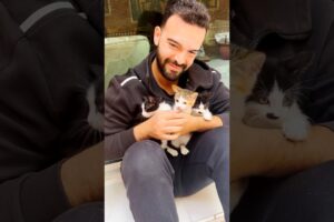 We Bet You Can’t Guess How Many Cats He Has 🐱 l The Dodo