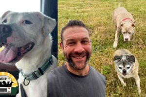 We went to rescue a dog that was in the shelter for 202 days and saved a few more | The Asher House