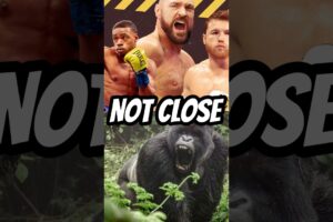 Why 100 Men vs 1 Silverback Gorilla Isn’t Close