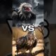 Wildest Animal Fights Caught on AI! 🐊🦁 (Animal Battle Showdown) #shorts