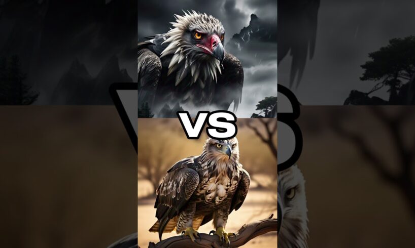 Wildest Animal Fights Caught on AI! 🐊🦁 (Animal Battle Showdown) #shorts