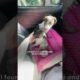 Woman Rescues Nine Dogs Left In House Without Water | The Dodo