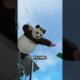 Worst ways people have died part 3