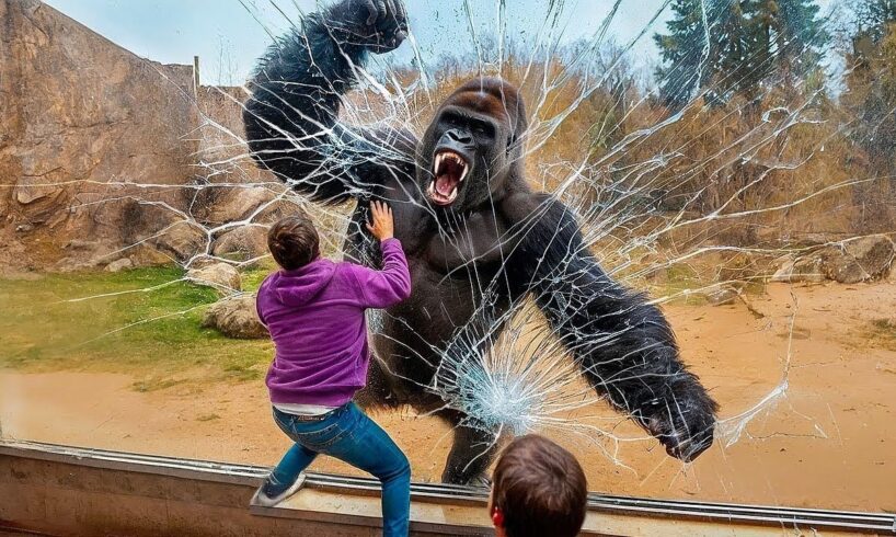 Zoo Breakouts So Crazy They Went Viral! (2025 Footage)