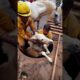 baby foal falls into a huge manhole saved by brave mother #humanity #animals  #pets  #funny  #horse