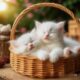 cute puppies adorable video #cat #kitten #cute #kitty #cuteanimals