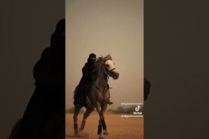 majestueux chevaux #viralvideo #horse #equestrianjourney #animals #youtubeshorts #shorts #trending