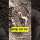 कपड़ा उतर गया #funny #shilpisaroja #thetharpuns #comedy