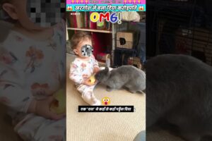खरगोश ने बना दिया करोड़पति 😱 #animal #animalrescue #animallover #rescue #rabbit