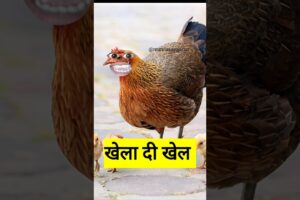 खेला दी खेल #funny #shilpisaroja #thetharpuns #comedy