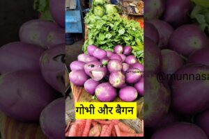गोभी और बैगन #funny #shilpisaroja #thetharpuns #comedy