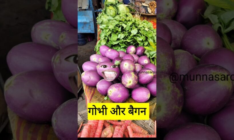 गोभी और बैगन #funny #shilpisaroja #thetharpuns #comedy