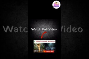 दुनियां के 10 खतरनाक सांप #snake #feedshorts #shortsfeed #feed #ytshortsindia #ytshorts #shortsvideo