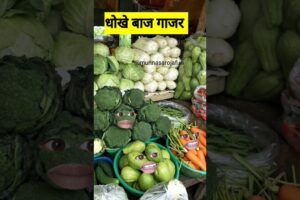 धोखे बाज गाजर #funny #shilpisaroja #thetharpuns #comedy