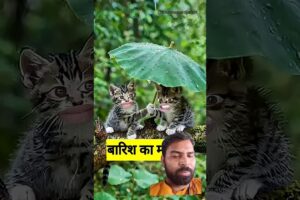 बारिश का मौसम #funny #shilpisaroja #comedy #thetharpuns