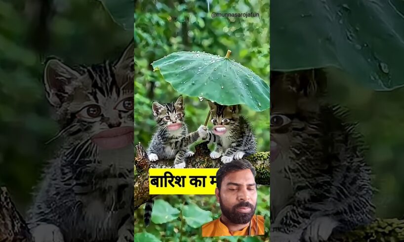 बारिश का मौसम #funny #shilpisaroja #comedy #thetharpuns