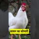 सावन का सोमवारी #funny #shilpisaroja #thetharpuns #comedy