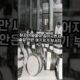 "시라소니, 변수에 강한 최강 싸움꾼" #시라소니 #서양 #shorts