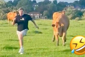 Try Not to Laugh Challenge #28 🤣 Best Fails of the week
