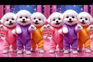Cute puppy crazy dancing💃😃 Funny Videos for puppy💃🤣| #puppydance #catvideos #viraldance
