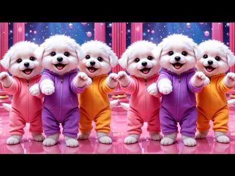 Cute puppy crazy dancing💃😃 Funny Videos for puppy💃🤣| #puppydance #catvideos #viraldance