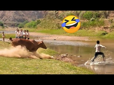 Best Fails of the Week | June 2025 Fails Caught on Camera