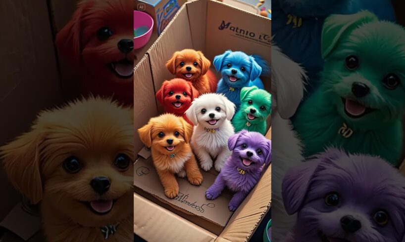 A box of cute puppies#Puppies have become spirits Super cute puppies MoePet the little cutie #06