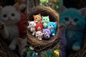 A box of cute puppies#Puppies have become spirits Super cute puppies MoePet the little cutie #010