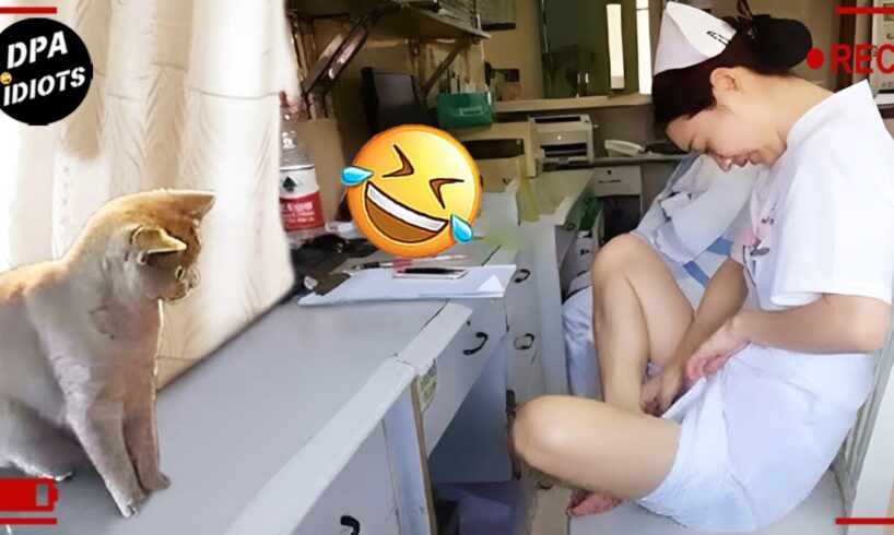 TOTAL IDIOTS AT WORK | Instant Regret Fails Compilation 2025 #278 | Best Fails of the Week