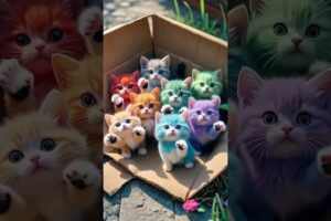A box of cute puppies#Puppies have become spirits Super cute puppies MoePet the little cutie #012