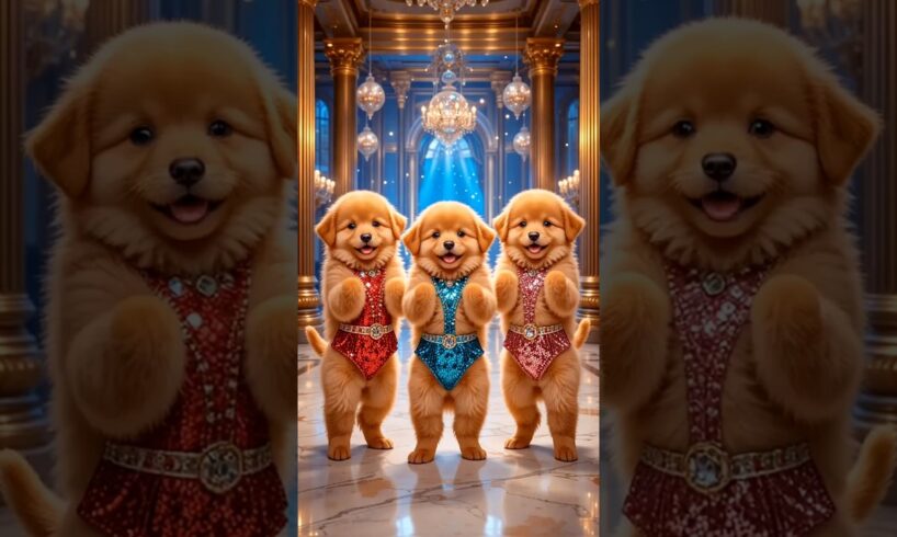 Cute puppies Crazy Dance | #funnyvideo #cutepuppy #viralshorts #dogshorts #trending #ep32