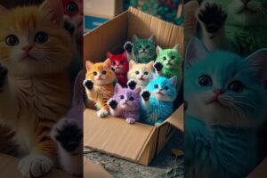 A box of cute puppies#Puppies have become spirits Super cute puppies MoePet the little cutie #013
