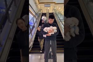 Cute puppies😍💕🫶🏻✨
