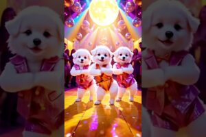Cute puppies Crazy Dance | #funnyvideo #cutepuppy #viralshorts #dogshorts