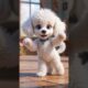 Cute Puppies Crazy Dance 💃 🤩| #funnyvideo #cutepuppy #dogshorts #funnyanimals #viraldance #62