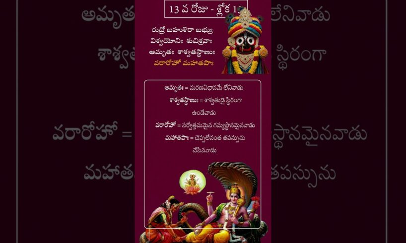 చాతుర్మాస్య వ్రతం - రోజుకో విష్ణు సహస్ర నామ శ్లోకం అర్ధం తో - శ్లోక 13
