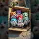 A box of cute puppies#Puppies have become spirits Super cute puppies MoePet the little cutie #025