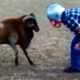 Try Not to Laugh Challenge #33 🤣 Best Fails of the week