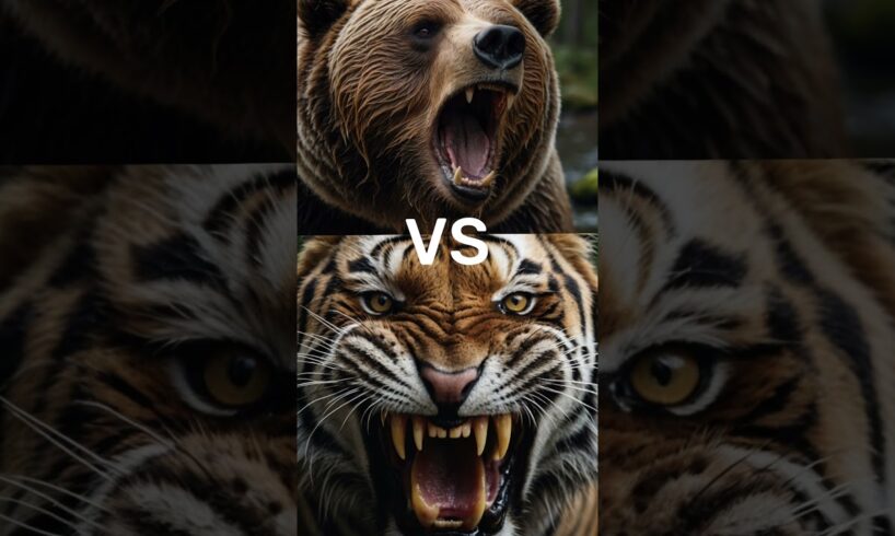 5 Brutal Animal Fights – Only One Survives