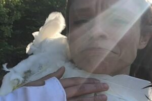 50-year-old caged bird is so happy to walk again