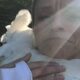 50-year-old caged bird is so happy to walk again