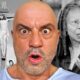 6 SHOCKING Joe Rogan Stories To Fall Asleep To (Documentary)