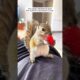 A couple rescued a squirrel stuck in the bird feeder
