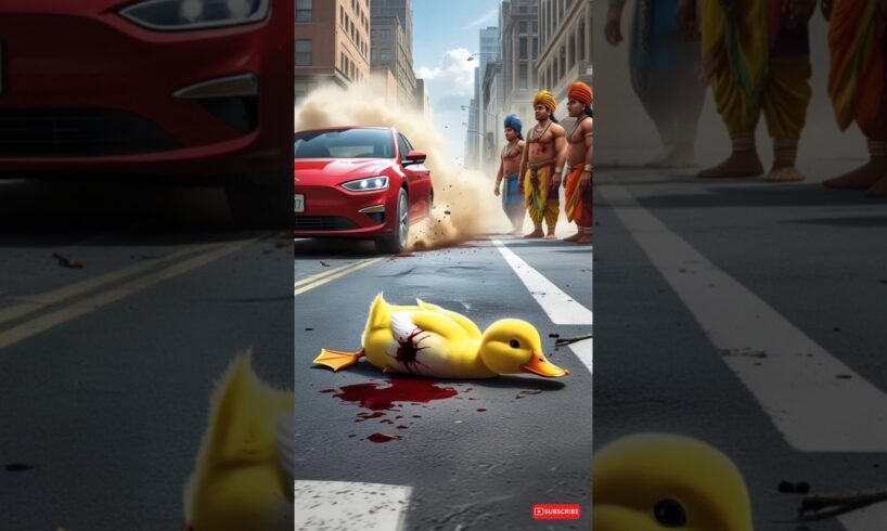 A disabled cat help his duckling friend#cute animals#animal rescue #shorts